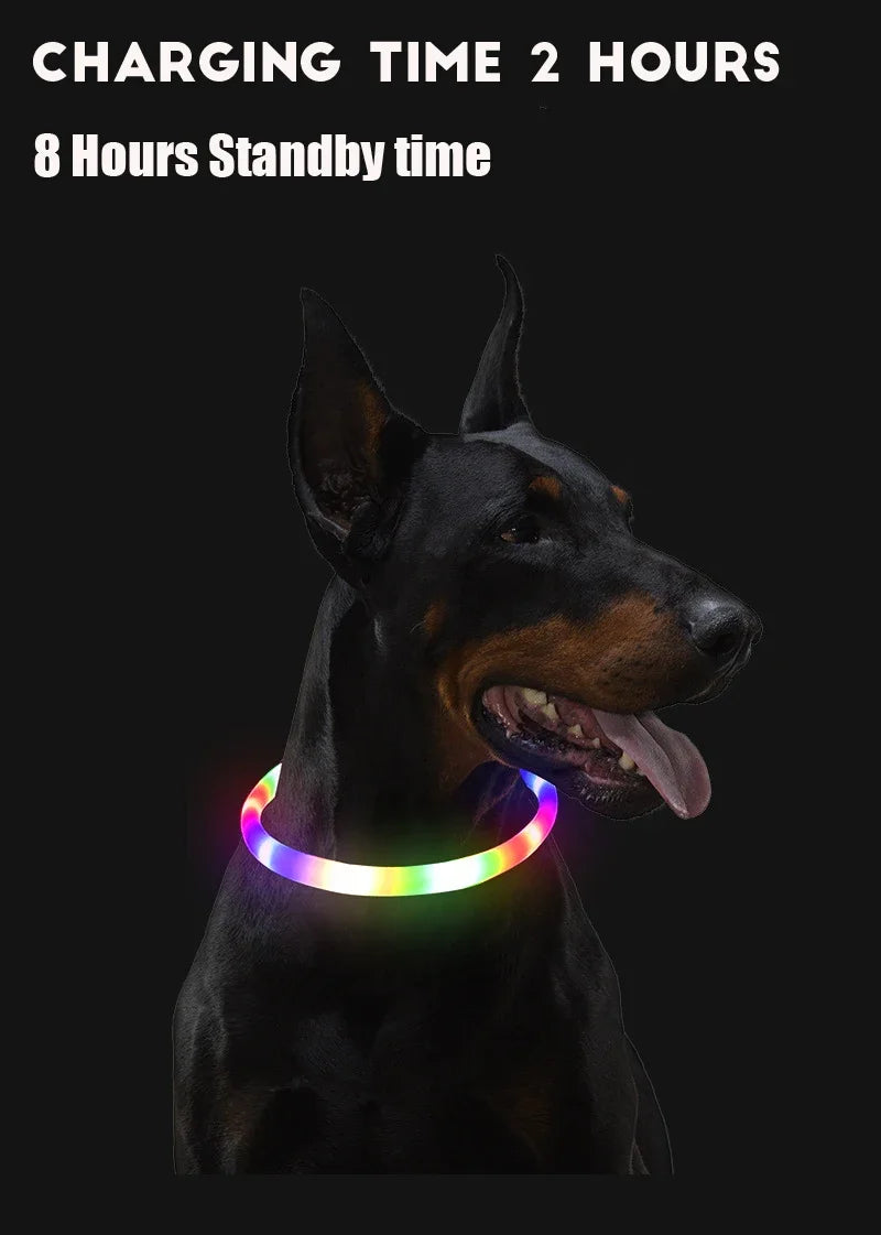 Coleira de led para cachorro luminosa, usb 3 modos de luz brilhante prevenção de perda coleira led para cães de estimação, acessórios para cães