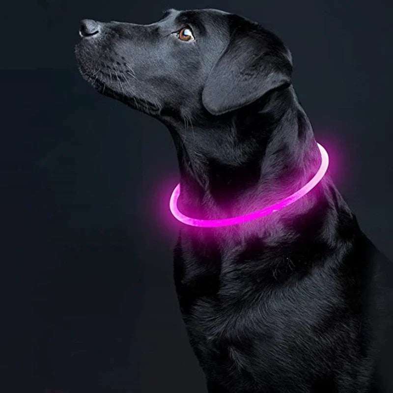 Coleira de led para cachorro luminosa, usb 3 modos de luz brilhante prevenção de perda coleira led para cães de estimação, acessórios para cães